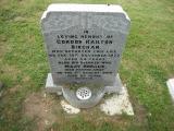 image of grave number 276135